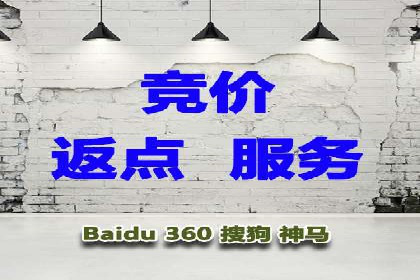 案例解读：SEM托管助力电商销售增长